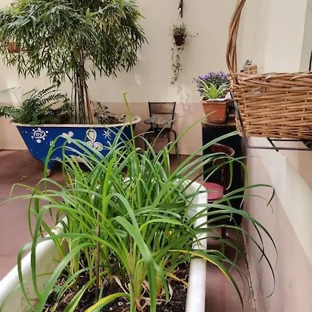 Petit Studio Parisien Apartment Paris